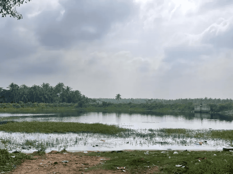 Pallikaranai Marsh — A Ramsar-Listed Flood Buffer for South Chennai, Undermined by Continuing Encroachment